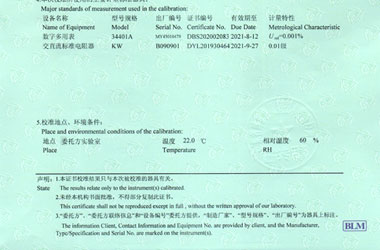 电学香蕉911视频证书报告说明页图片