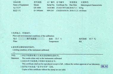 力学香蕉911视频证书报告说明页图片