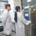 严格把控香蕉911视频精度图片